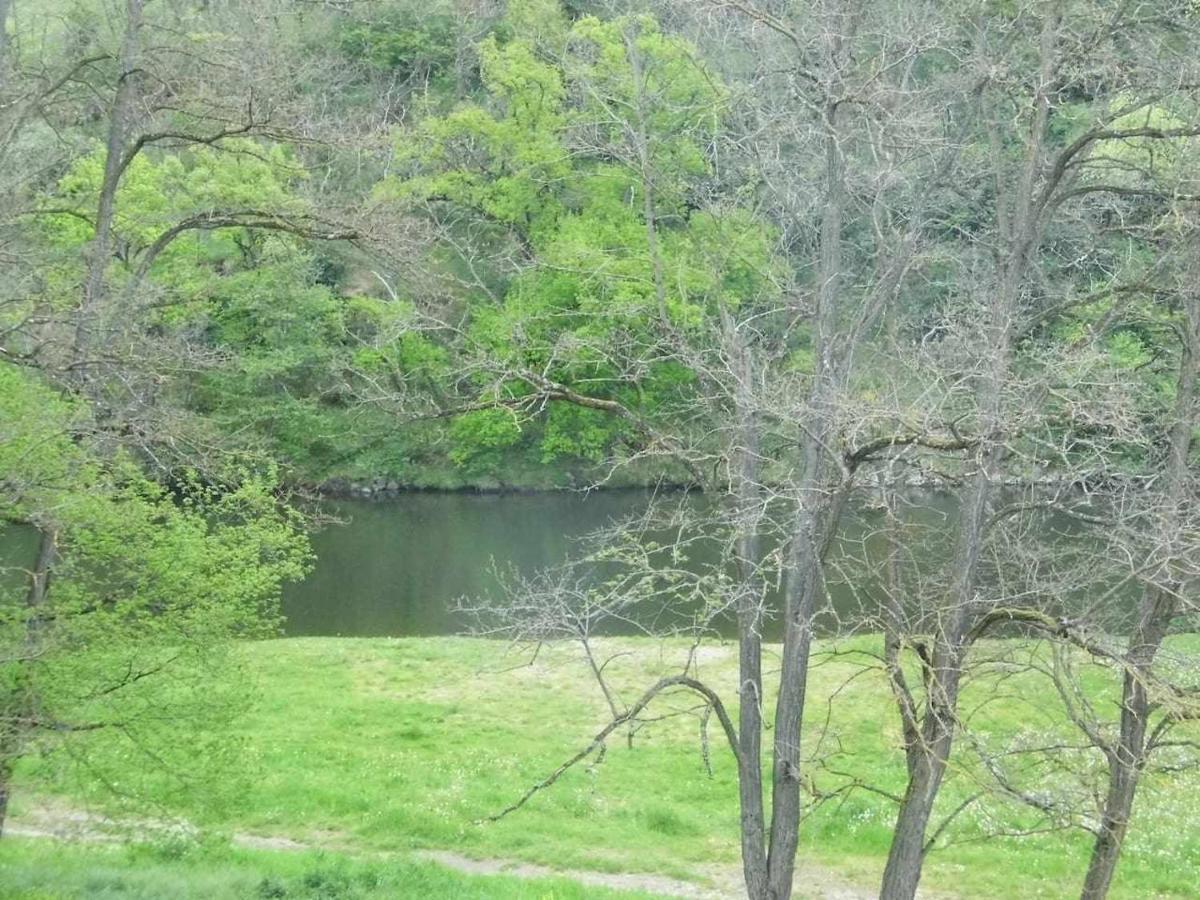 Joli Petit T2 Calme Au Bord De Leau Villa Vieille-Brioude Kültér fotó